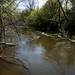 The Huron River, pictured here on Friday, May 3, runs along the Water Street property. Daniel Brenner I AnnArbor.com